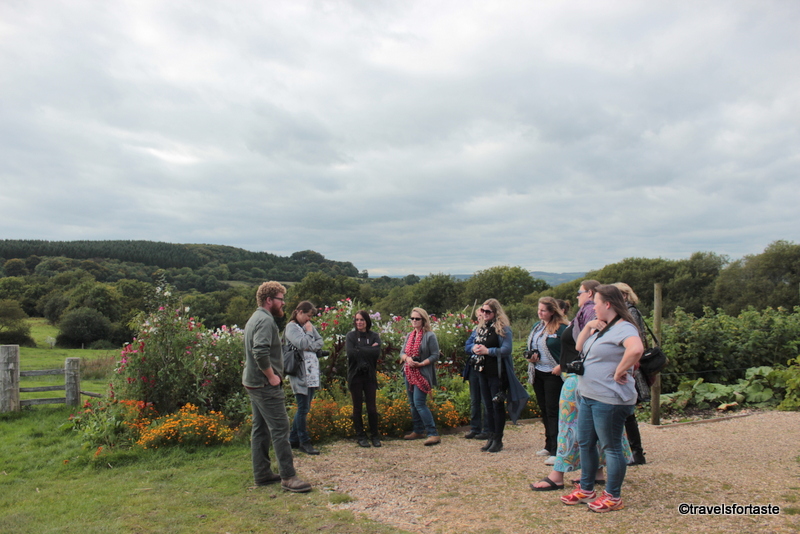Guided tour of kitchen gardens at River Cottage HQ